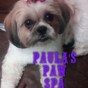 Meet your Posher, Paula